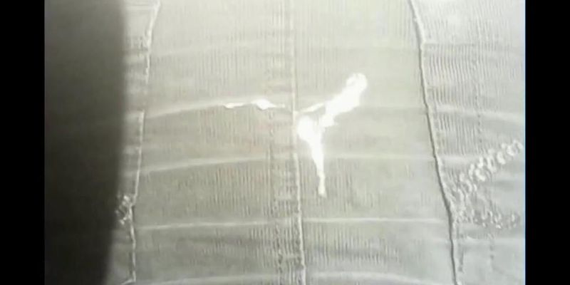 Wolter's Sperm Cum Bitch 13-18