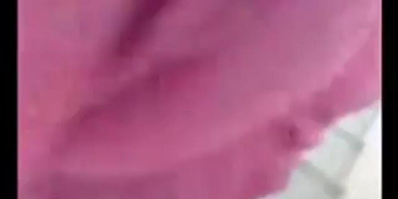 Hijab girl blowjob