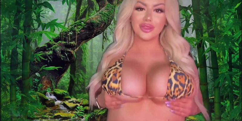 Jiggle Jungle the curse of the junglewoky