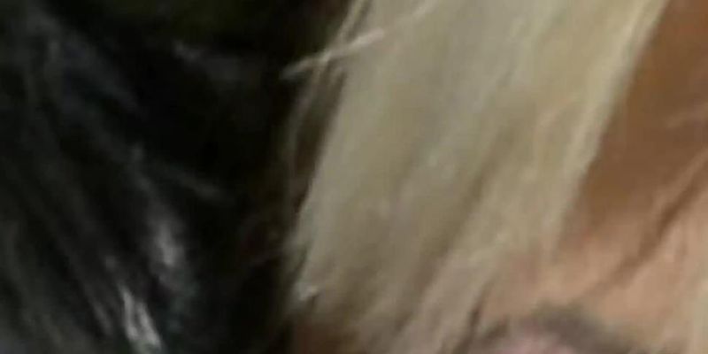 Blonde MILF Is Giving Him A Strong Blowjob (Andy Mann, Stacy Silver)