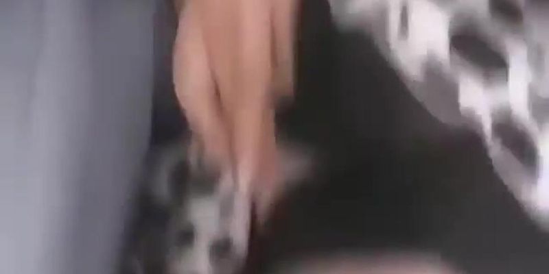 sesso in treno cinese