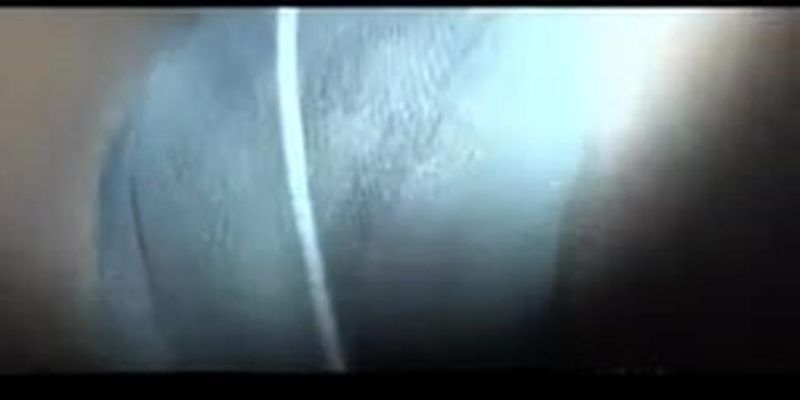 jp-video 369