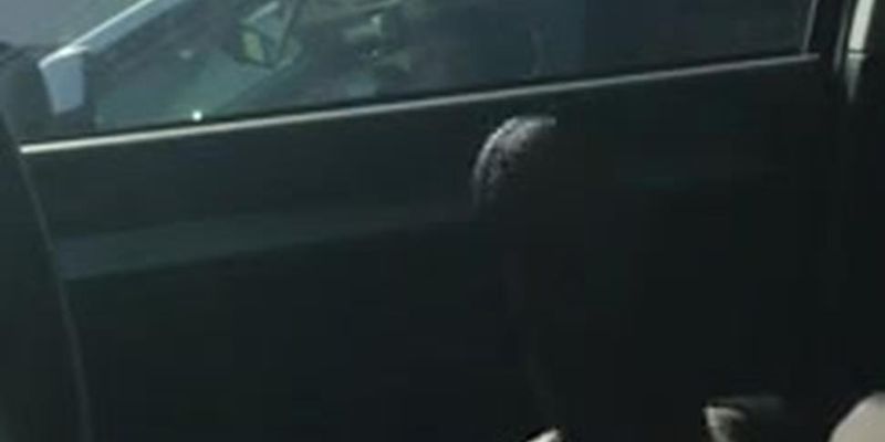Car Flash Mature