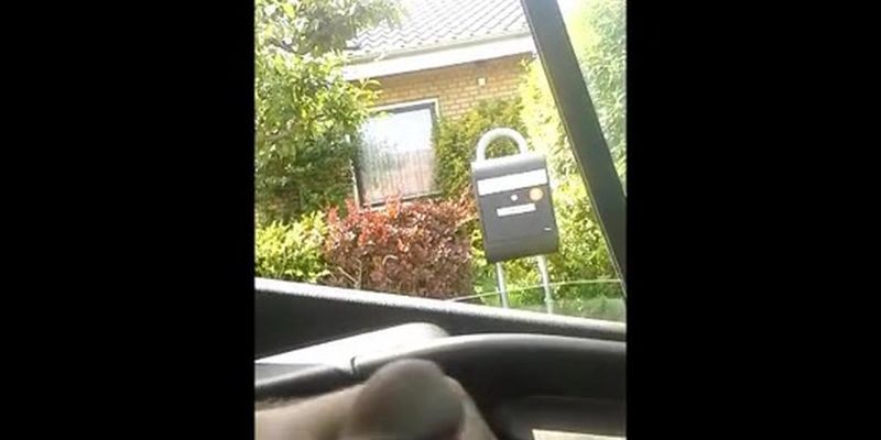 Flashing Cock In Car For Young Danish Milf