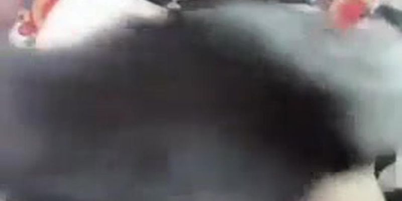 dance