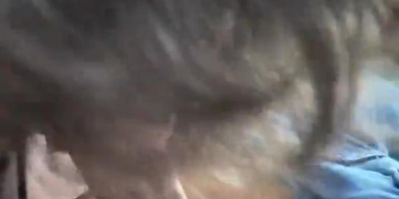 He loves sucking daddy’s big cock